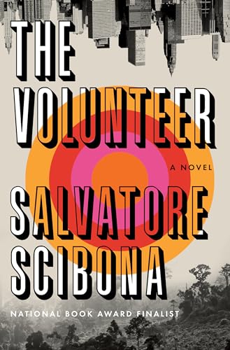 Beispielbild fr The Volunteer: A Novel zum Verkauf von More Than Words