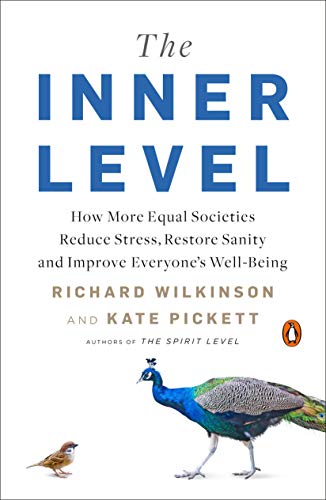 Imagen de archivo de The Inner Level : How More Equal Societies Reduce Stress, Restore Sanity and Improve Everyone's Well-Being a la venta por Better World Books