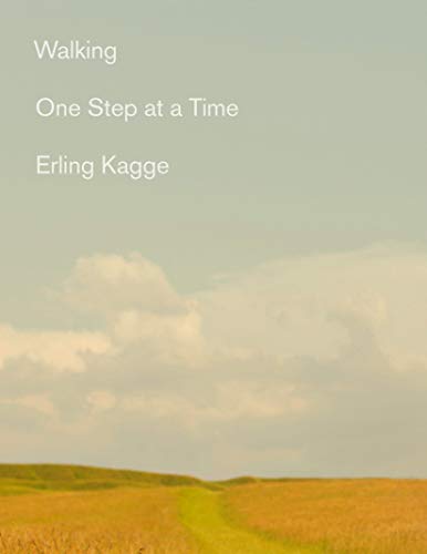 Stock image for Walking: One Step At a Time for sale by Ergodebooks