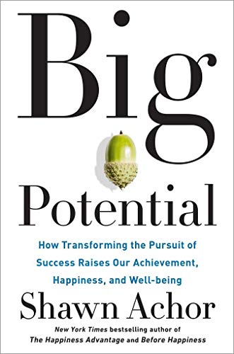 Beispielbild fr Big Potential: How Transforming the Pursuit of Success Raises Our Achievement, Happiness, and Well-Being zum Verkauf von medimops