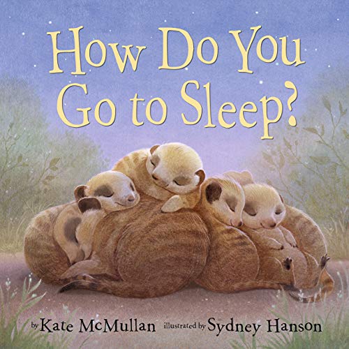 Imagen de archivo de How Do You Go to Sleep? a la venta por Better World Books