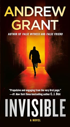 Beispielbild fr Invisible: A Novel (Paul McGrath) zum Verkauf von Half Price Books Inc.