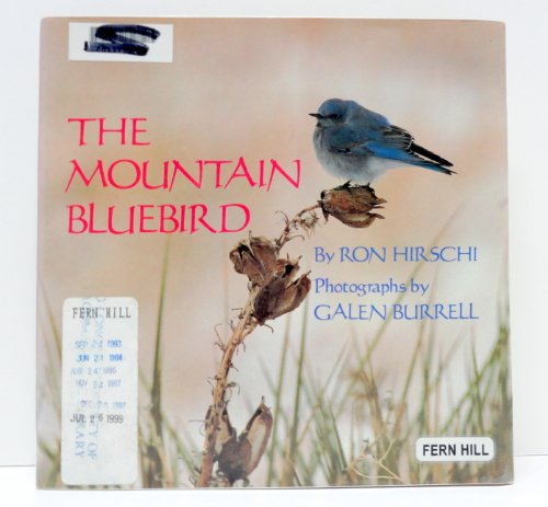 Stock image for The Mountain Bluebird for sale by Better World Books