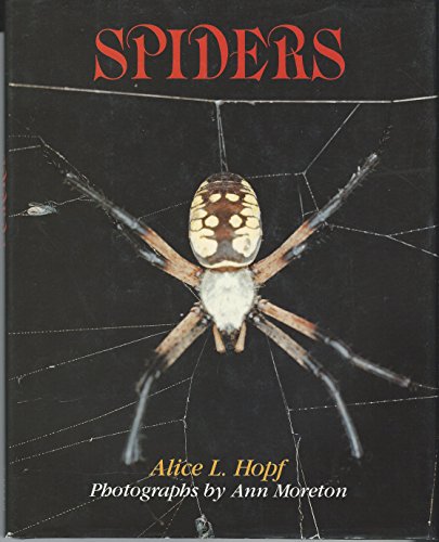 Stock image for Spiders for sale by ThriftBooks-Dallas