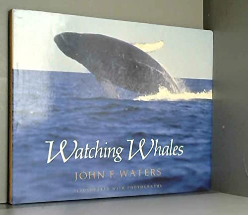 Beispielbild fr Watching Whales zum Verkauf von Neil Shillington: Bookdealer/Booksearch