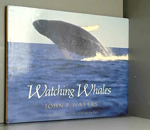 Stock image for Watching Whales for sale by Neil Shillington: Bookdealer/Booksearch