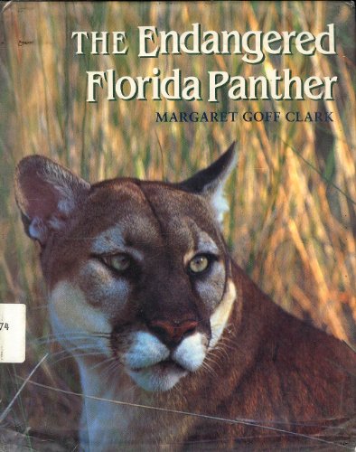 Beispielbild fr The Endangered Florida Panther zum Verkauf von Once Upon A Time Books
