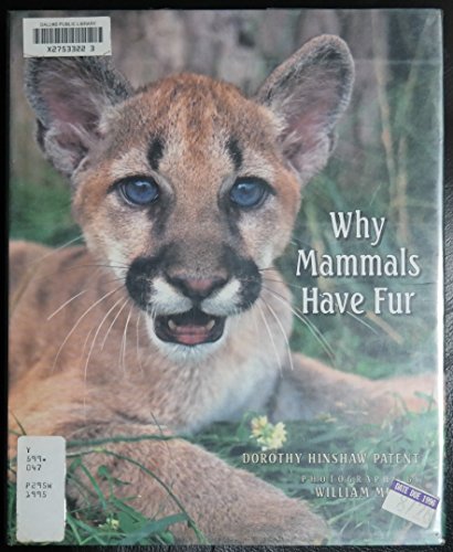Beispielbild fr Why Mammals Have Fur zum Verkauf von Better World Books: West