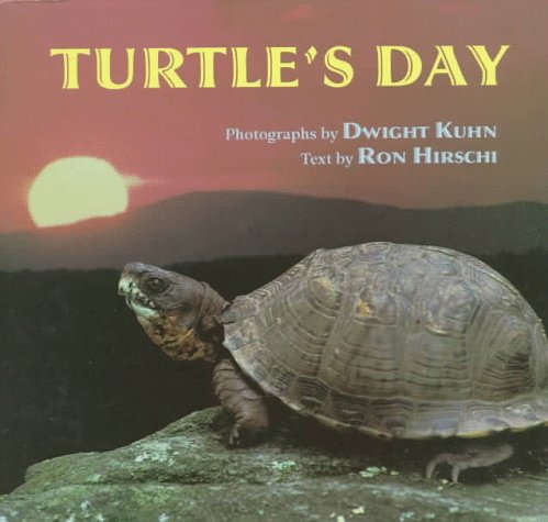 9780525651727: Turtle's Day