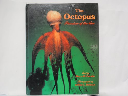 Imagen de archivo de The Octopus : Phantom of the Sea a la venta por Better World Books: West