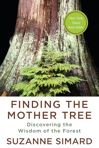 9780525656098: Finding the Mother Tree: Discovering the Wisdom of the Forest