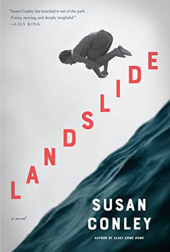 Beispielbild fr Landslide : A Novel zum Verkauf von Better World Books