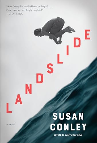 Stock image for Landslide: A novel for sale by SecondSale