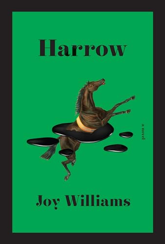 Imagen de archivo de Harrow: A novel a la venta por Goodwill Books