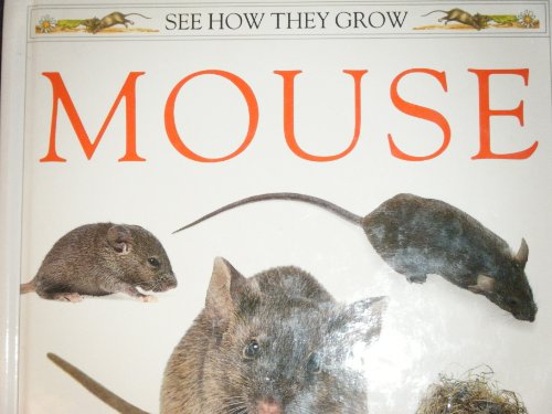 Beispielbild fr Mouse zum Verkauf von Better World Books