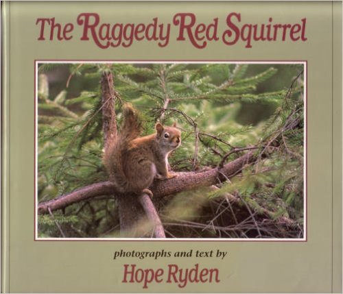 Beispielbild fr The Raggedy Red Squirrel zum Verkauf von Better World Books