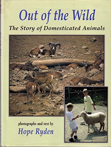 Stock image for Out of the Wild : The Story of Domesticated Animals for sale by Better World Books