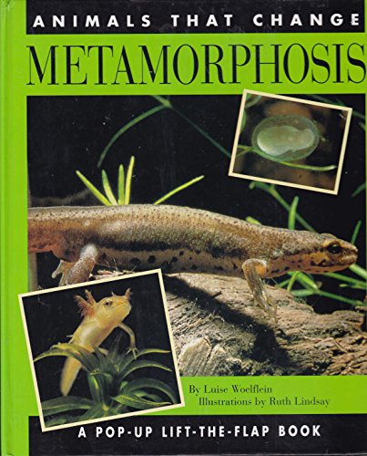 Stock image for Metamorphosis A Pop Up Lift The Flap Book for sale by Dave Wilhelm Books