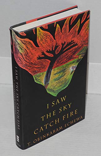 Beispielbild fr I Saw the Sky Catch Fire zum Verkauf von Keeps Books