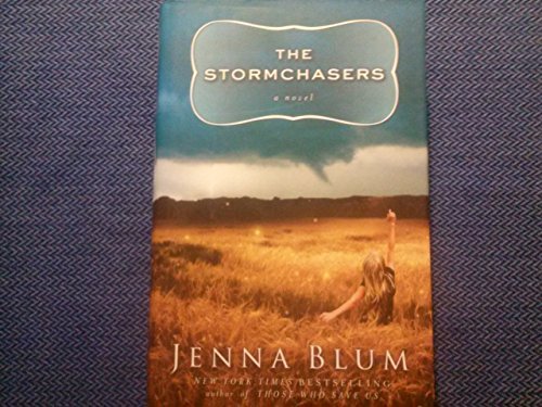 Beispielbild fr The Stormchasers zum Verkauf von Wonder Book