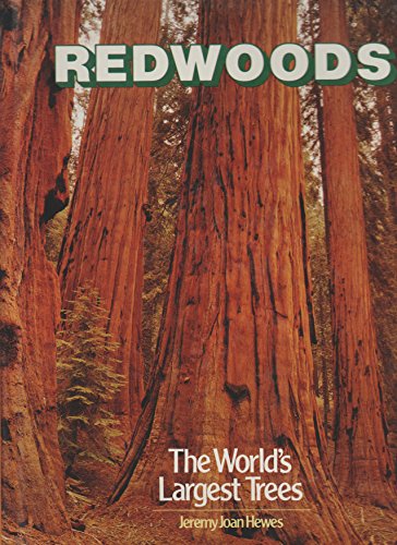 Stock image for Redwoods--The World's Largest Trees for sale by ThriftBooks-Atlanta