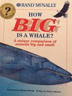 Beispielbild fr How Big Is a Whale? zum Verkauf von Wonder Book