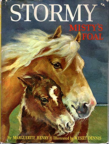Stock image for Stormy: Misty's Foal for sale by HPB Inc.