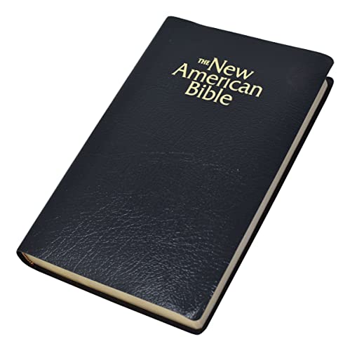 9780529068118: New American Bible: Gift and Award Bible/Black Imitation Leater