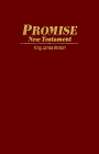 9780529104588: The Promise NT King James Version Burgundy
