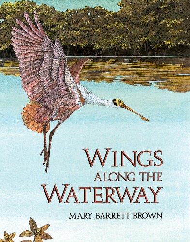 Stock image for Wings Along The Waterway for sale by Neil Shillington: Bookdealer/Booksearch