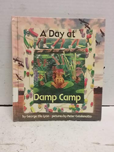 9780531088548: A Day at Damp Camp