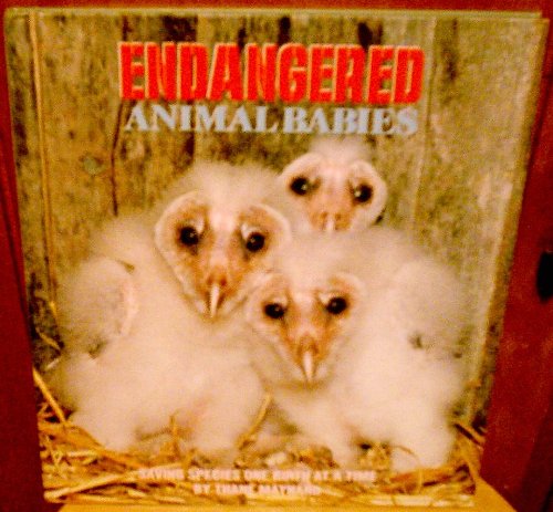 Beispielbild fr Endangered Animal Babies : Saving Species One Birth at a Time zum Verkauf von Better World Books