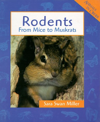 Stock image for Rodents : From Mice to Muskrats for sale by Better World Books: West