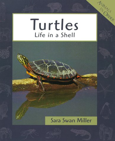 Stock image for Turtles : Life in a Shell for sale by Better World Books: West
