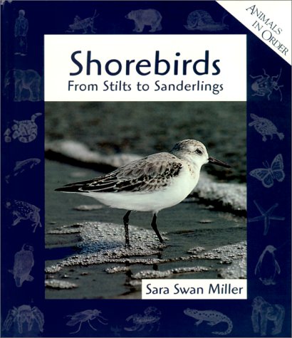Beispielbild fr Shorebirds: From Stilts to Sanderlings (Animals in Order) Miller, Sara Swan; Gonzales, Jose and Savage, Steve zum Verkauf von TheJunkStore