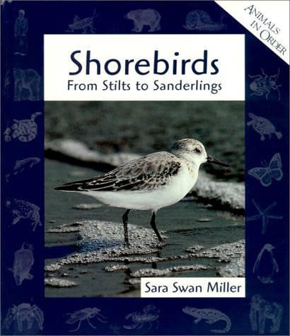 Stock image for Shorebirds: From Stilts to Sanderlings (Animals in Order) Miller, Sara Swan; Gonzales, Jose and Savage, Steve for sale by TheJunkStore