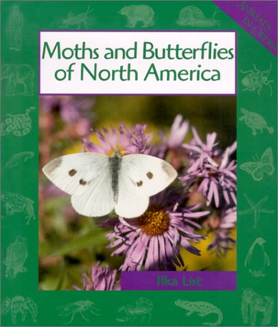 Stock image for Moths and Butterflies of North America (Animals in Order) for sale by Wonder Book