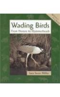 Beispielbild fr Animals in Order: Wading Birds zum Verkauf von Better World Books