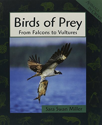 Imagen de archivo de Birds of Prey: From Falcons to Vultures a la venta por ThriftBooks-Atlanta