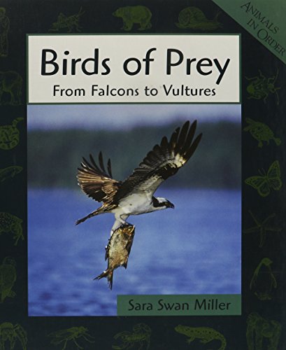 Stock image for Birds of Prey: From Falcons to Vultures for sale by ThriftBooks-Atlanta