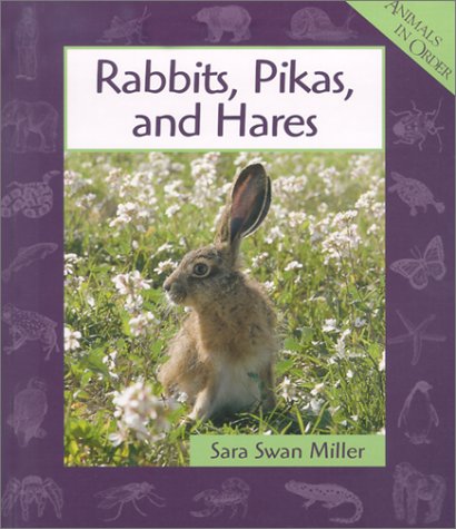 9780531116340: ANIMALS IN ORDER RABBITS PIKAS