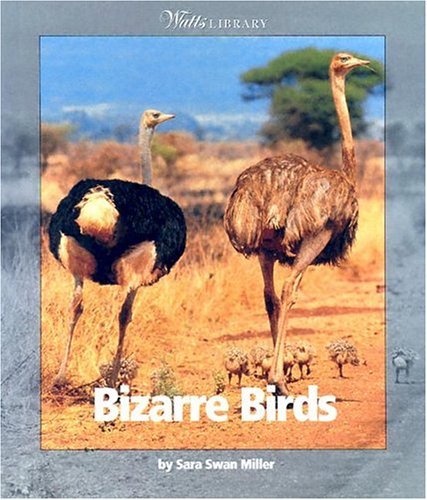 Stock image for Bizarre Birds for sale by Better World Books: West
