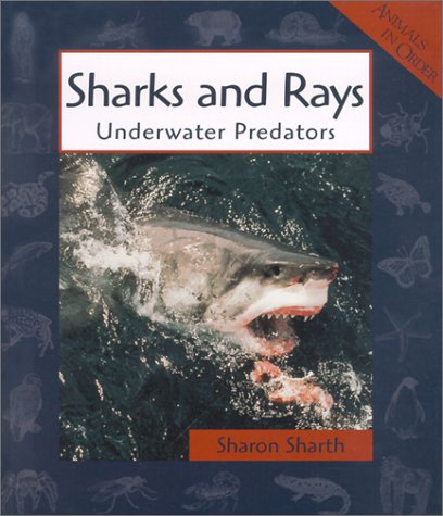 Imagen de archivo de Sharks and Rays : Underwater Predators a la venta por Better World Books: West