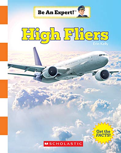 Stock image for High Fliers for sale by Blackwell's