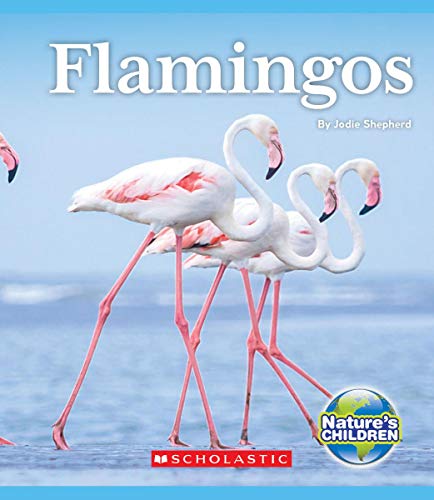 9780531128992: Flamingos (Nature's Children)