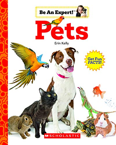 Stock image for Pets (Be An Expert!) for sale by Gulf Coast Books