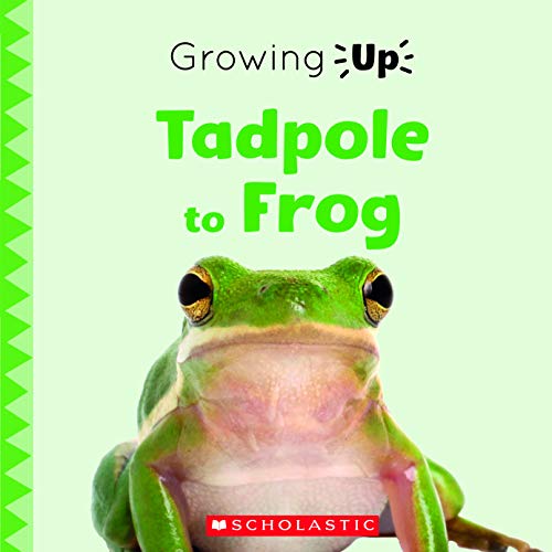Beispielbild fr Tadpole to Frog (Growing Up) zum Verkauf von More Than Words
