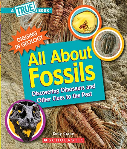 Stock image for All About Fossils (A True Book: Digging in Geology): Discovering Dinosaurs and Other Clues to the Past (A True Book (Relaunch)) for sale by HPB-Diamond