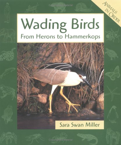 Beispielbild fr Wading Birds : From Herons to Hammerkops zum Verkauf von Better World Books