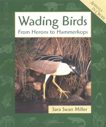 Imagen de archivo de Wading Birds : From Herons to Hammerkops a la venta por Better World Books